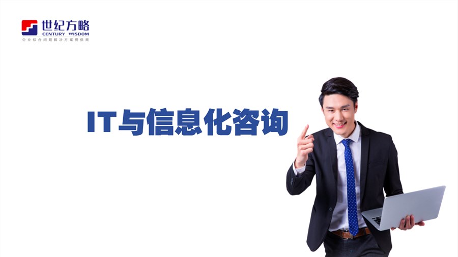 IT信息化咨詢(xún)